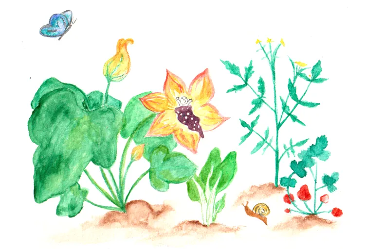 Les bébés naissent dans les fleurs de courgette