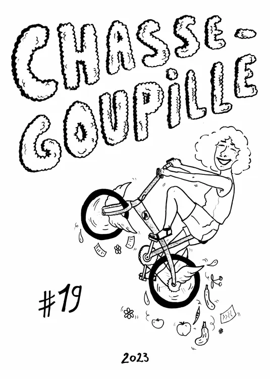 Chasse-goupille n°19